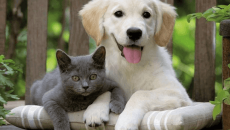 Why Are My Eyes Red? - Heavyglare Eyewear Why Are My Eyes Red? - Heavyglare Eyewear