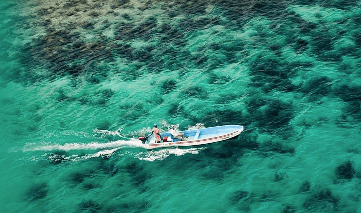 Costa: A Proud Partner of OCEARCH - Heavyglare Eyewear Costa: A Proud Partner of OCEARCH - Heavyglare Eyewear