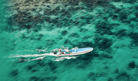 Costa: A Proud Partner of OCEARCH - Heavyglare Eyewear Costa: A Proud Partner of OCEARCH - Heavyglare Eyewear