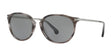 Brooks Brothers BB5039 Sunglasses Grey Transparent Horn / Solid Light Brown Brooks Brothers BB5039 Sunglasses Grey Transparent Horn / Solid Light Brown