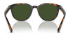Brooks Brothers BB5050U Sunglasses | Size 55 / Tortoise / Solid Dark Green (3N 9.4%) №616171