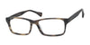 Casino Eyewear ETHAN Eyeglasses | Size 55 / Matte Tortoise