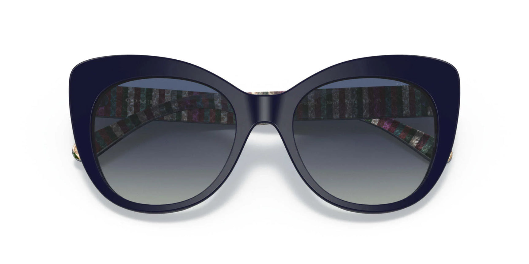 Coach C3448 HC8317 Sunglasses Coach C3448 HC8317 Sunglasses