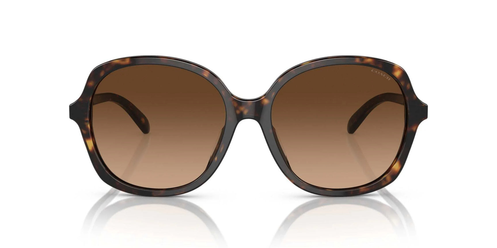 Coach CH568 HC8360U Sunglasses Coach CH568 HC8360U Sunglasses