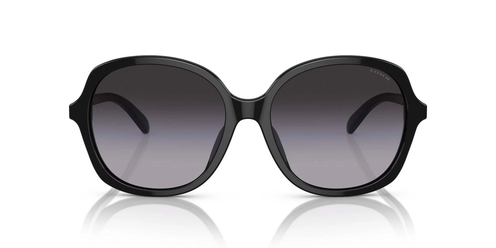 Coach CH568 HC8360U Sunglasses Coach CH568 HC8360U Sunglasses