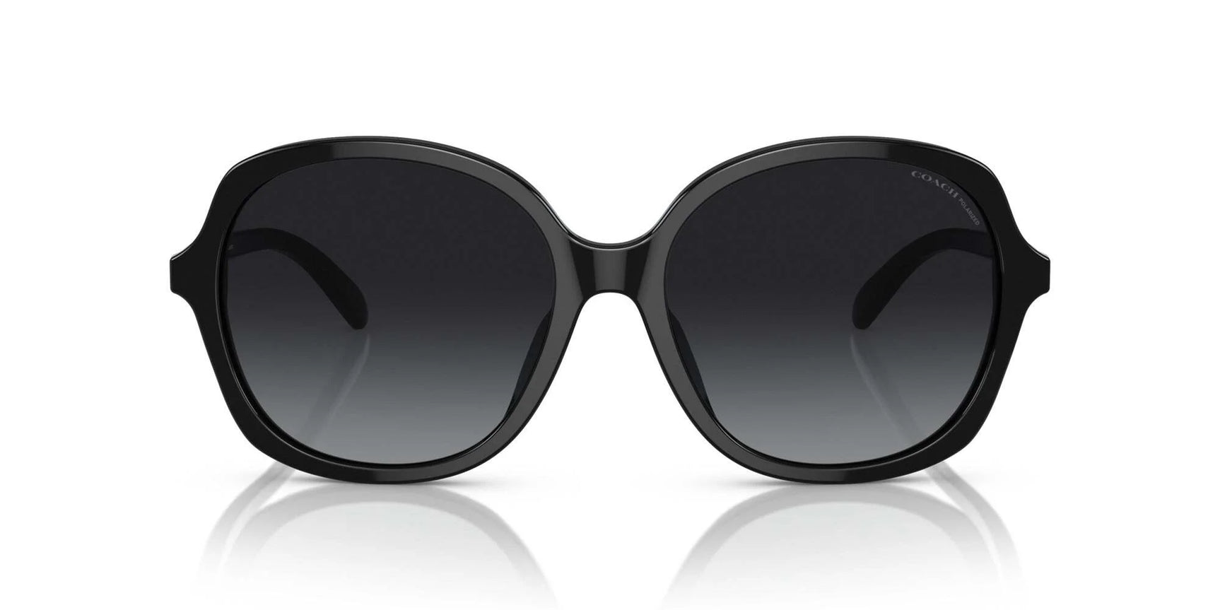 Coach CH568 HC8360U Sunglasses Coach CH568 HC8360U Sunglasses