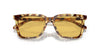 Coach CL916 HC8385U Sunglasses / Black №5002T3 / Grey Gradient Polar (3P 10.7%) / Size 54
