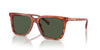 Coach CL916 HC8385U Sunglasses / Caramel Tortoise №577482 / Green (2N 19.2%) / Size 54