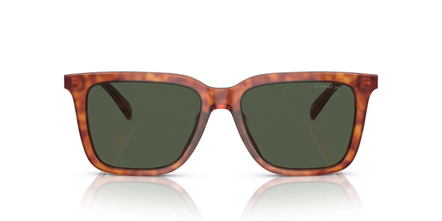 Coach CL916 HC8385U Sunglasses Coach CL916 HC8385U Sunglasses