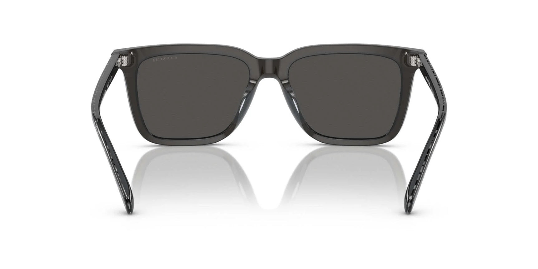 Coach CL916 HC8385U Sunglasses Coach CL916 HC8385U Sunglasses