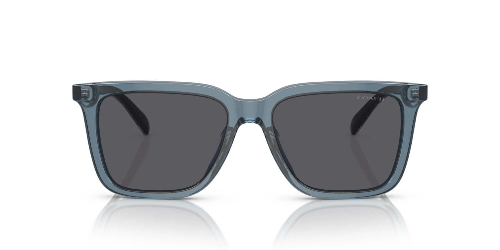 Coach CL916 HC8385U Sunglasses Coach CL916 HC8385U Sunglasses