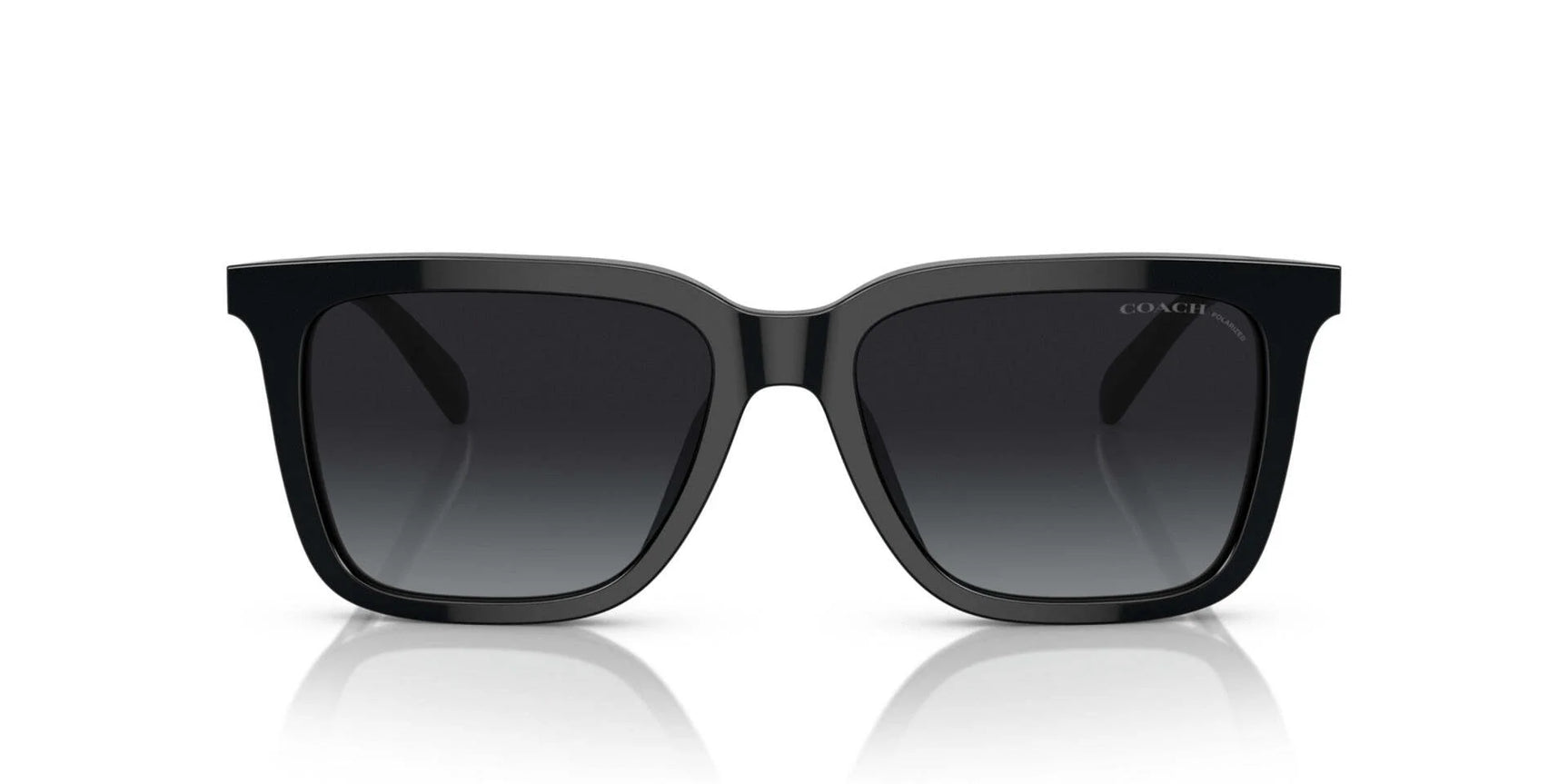 Coach CL916 HC8385U Sunglasses Coach CL916 HC8385U Sunglasses