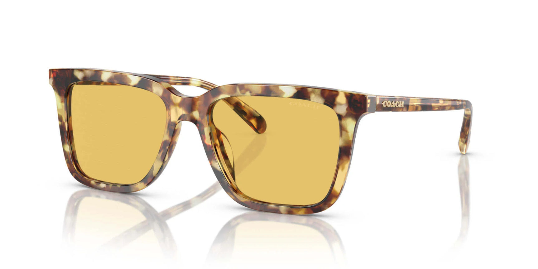 Coach CL916 HC8385U Sunglasses Coach CL916 HC8385U Sunglasses