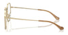 Coach HC5174D Eyeglasses | Size 56 / Shiny Light Gold №9005