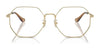 Coach HC5174D Eyeglasses | Size 56 / Shiny Light Gold №9005