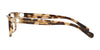 Coach HC6119 Eyeglasses | Size 53 / Brown Tortoise №5576