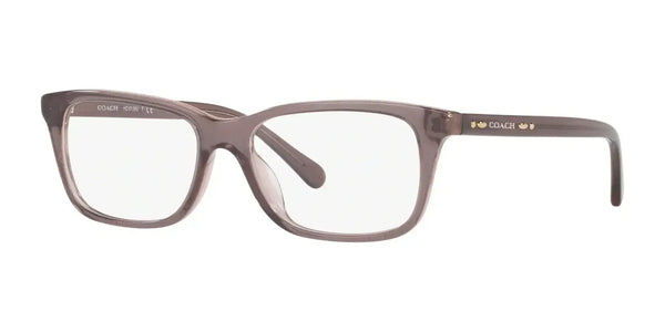 Coach HC6136U Eyeglasses | Size 53 / Transparent Glitter Grey №5447