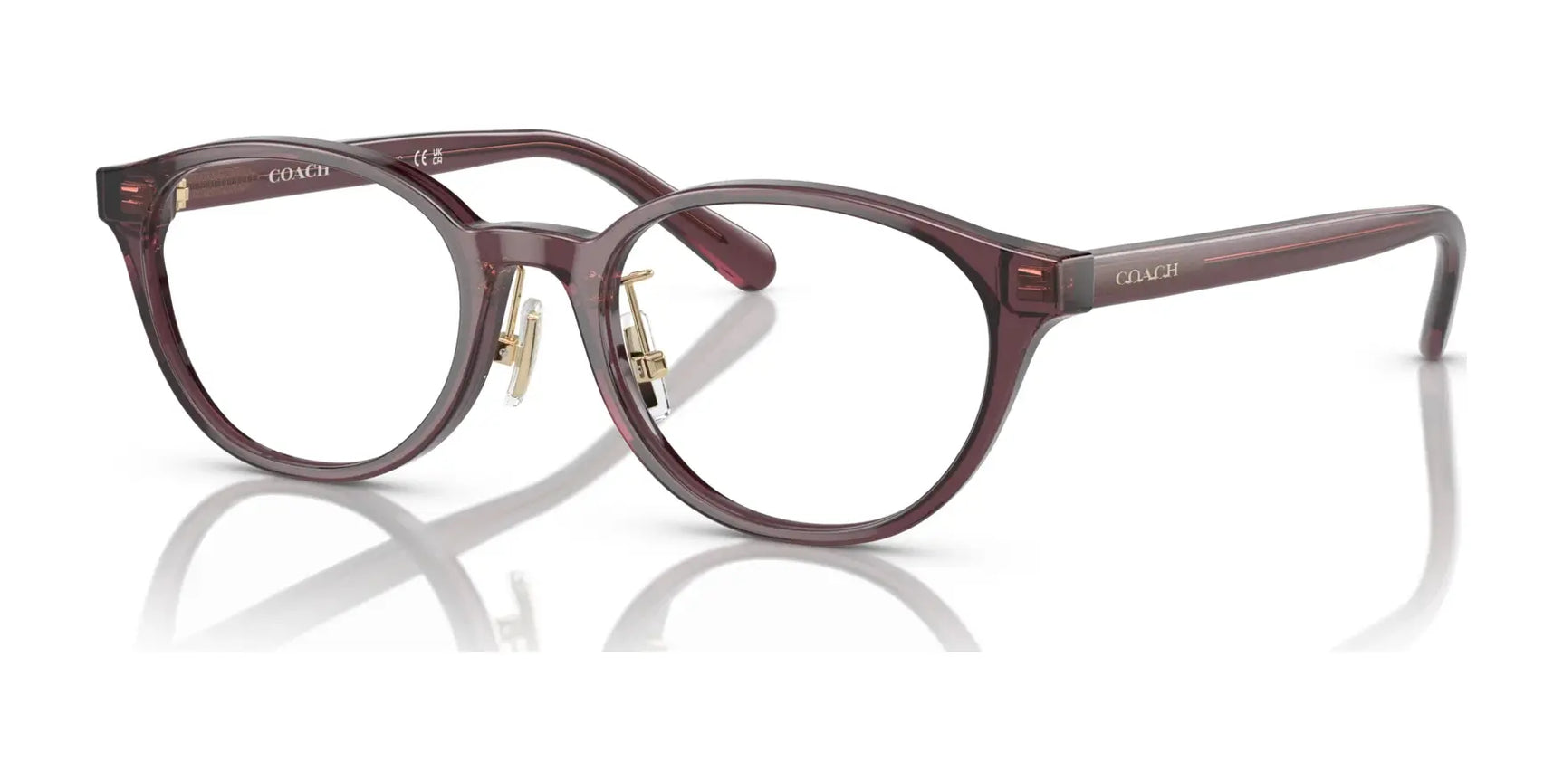 Coach HC6152D Eyeglasses Transparent Mauve Coach HC6152D Eyeglasses Transparent Mauve