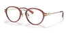 Coach HC6183D Eyeglasses | Size 50 / Transparent Wine №5664