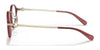 Coach HC6183D Eyeglasses | Size 50 / Transparent Wine №5664