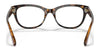 Coach HC6187F Eyeglasses | Size 53 / Dark Tortoise №5120