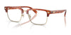 Coach HC6253 Eyeglasses | Size 54 / Caramel Tortoise №5774