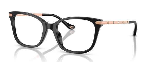 Coach HC6261BU Eyeglasses / Black №5002 / Size 50