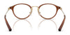 Coach HC6268D Eyeglasses | Size 48 / Black №5002