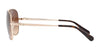 Coach L1648 HC7074 Sunglasses | Size 59 / Light Gold №931013 / Brown Gradient (3N 13.6%)