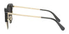 Coach L1112 HC7110 Sunglasses | Size 55 / Black/Light Gold №556687 / Dark Grey (3N 9.9%)