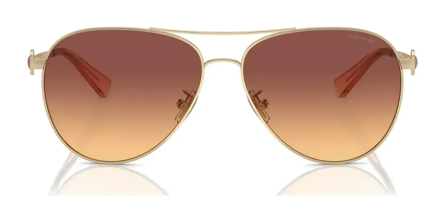 Coach C6178 HC7128 Sunglasses | Size 58 Coach C6178 HC7128 Sunglasses | Size 58