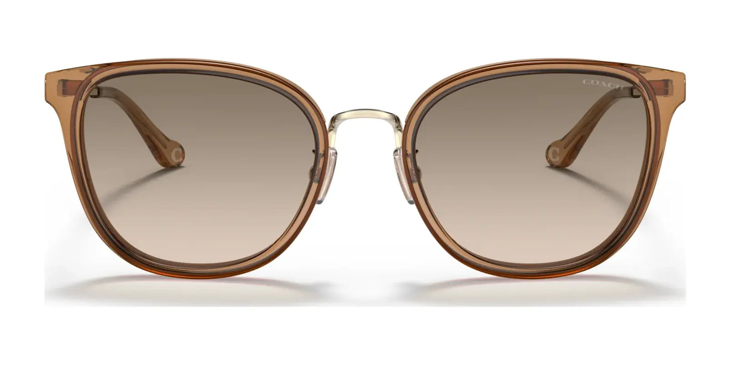 Coach C7999 HC7135 Sunglasses | Size 54 Coach C7999 HC7135 Sunglasses | Size 54