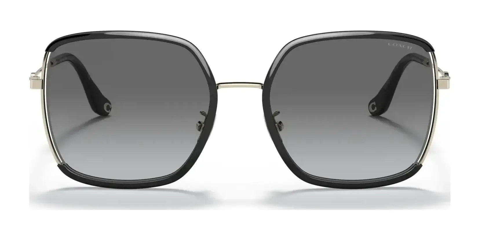 Coach C8000 HC7139BD Sunglasses | Size 58 Coach C8000 HC7139BD Sunglasses | Size 58