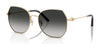 Coach CAD79 HC7175 Sunglasses | Size 56 / Shiny Light Gold / Grey Gradient (3N 13.2%) №90053C