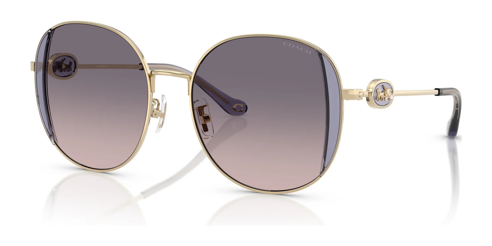 Coach CAD73 HC7176B Sunglasses | Size 54 Coach CAD73 HC7176B Sunglasses | Size 54