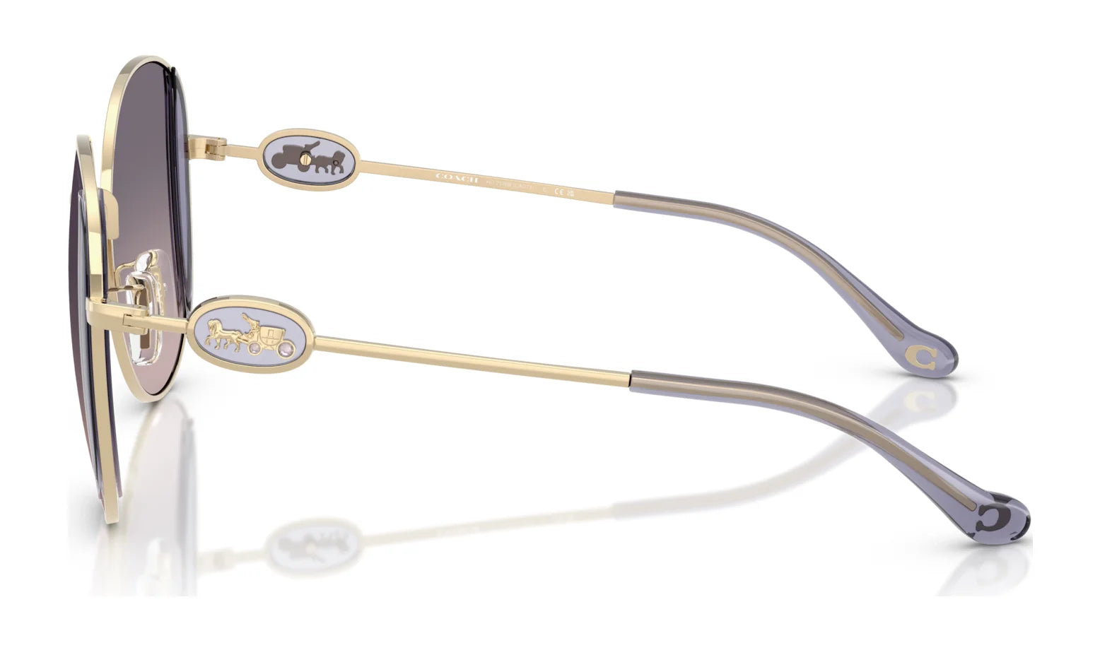 Coach CAD73 HC7176B Sunglasses | Size 54 Coach CAD73 HC7176B Sunglasses | Size 54