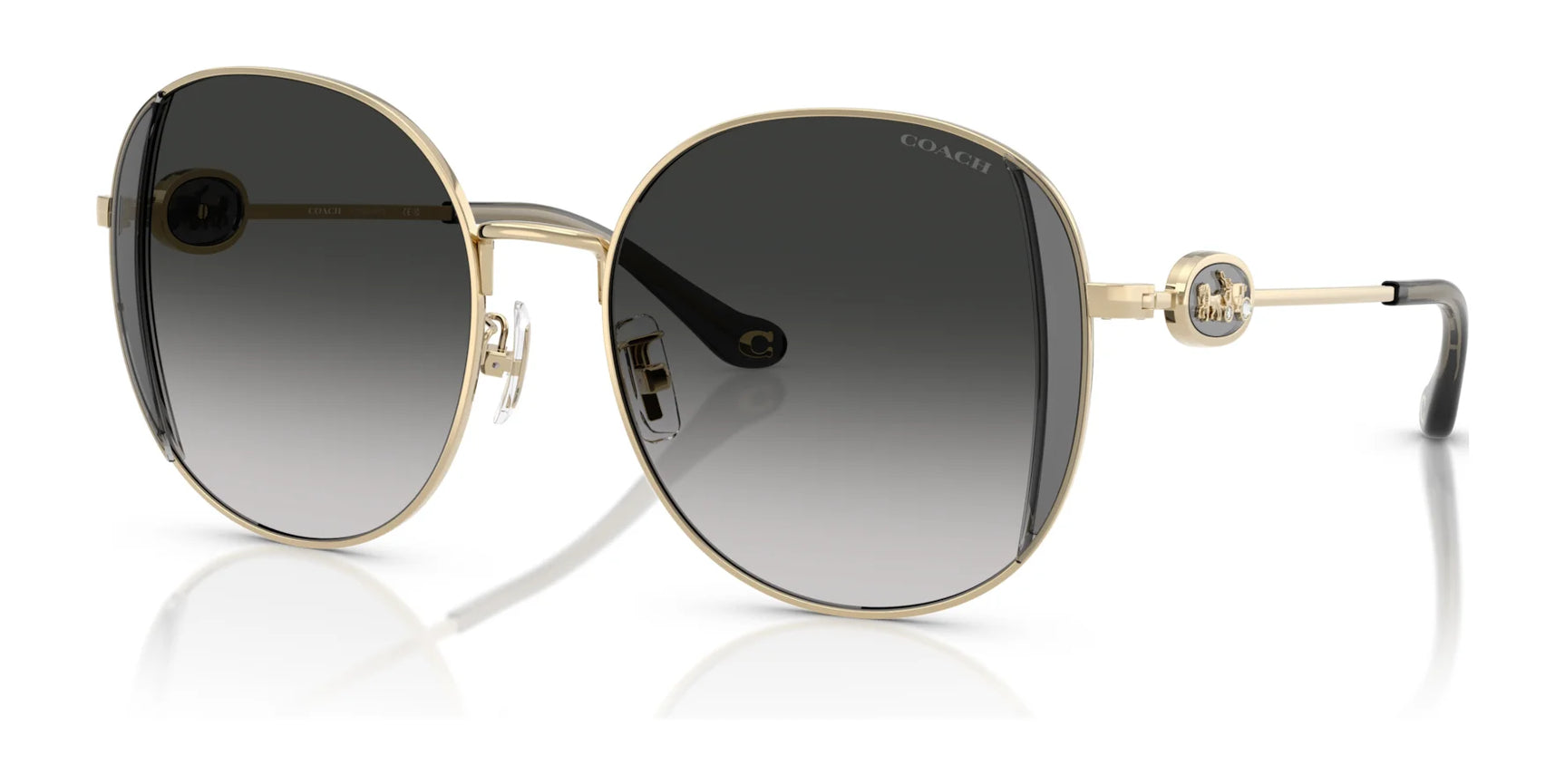 Coach CAD73 HC7176B Sunglasses | Size 54 Coach CAD73 HC7176B Sunglasses | Size 54