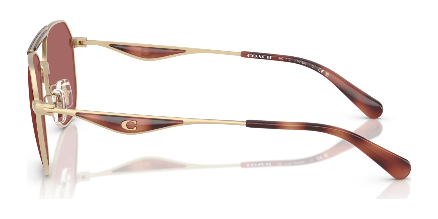 Coach CAE80 HC7178 Sunglasses | Size 57 Coach CAE80 HC7178 Sunglasses | Size 57