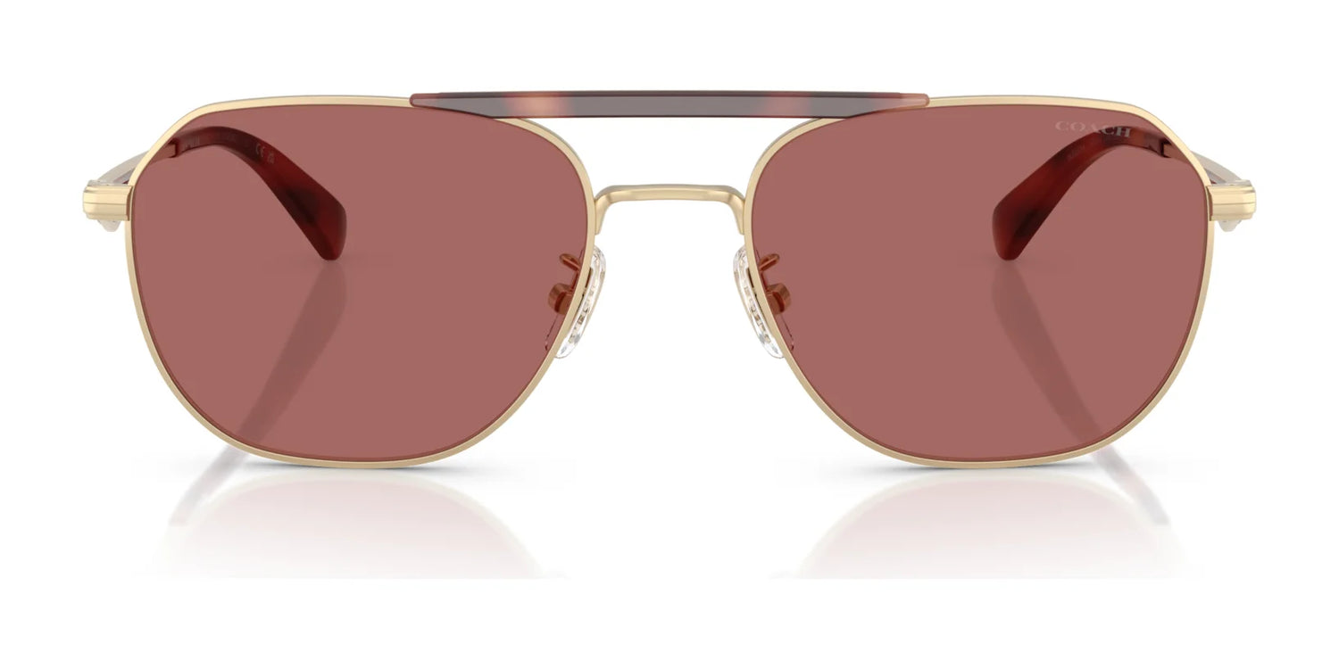Coach CAE80 HC7178 Sunglasses | Size 57 Coach CAE80 HC7178 Sunglasses | Size 57