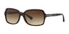 Coach L087 BLAIR HC8116 Sunglasses | Size 56 / Dark Tortoise / Brown Gradient (3N 16%) №500113