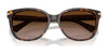 Coach L109 HC8132 Sunglasses | Size 57 / Dark Tortoise / Dark Brown Gradient (3N 14.2%) №529113