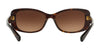 Coach L156 HC8168 Sunglasses | Size 56 / Black / Grey Gradient (3N 13%) №534811