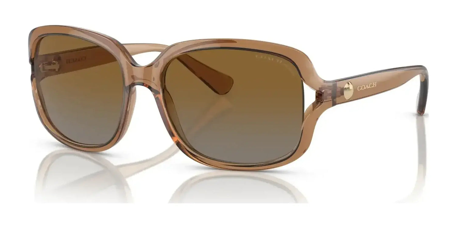 Coach L149 HC8169 Sunglasses | Size 57 Coach L149 HC8169 Sunglasses | Size 57