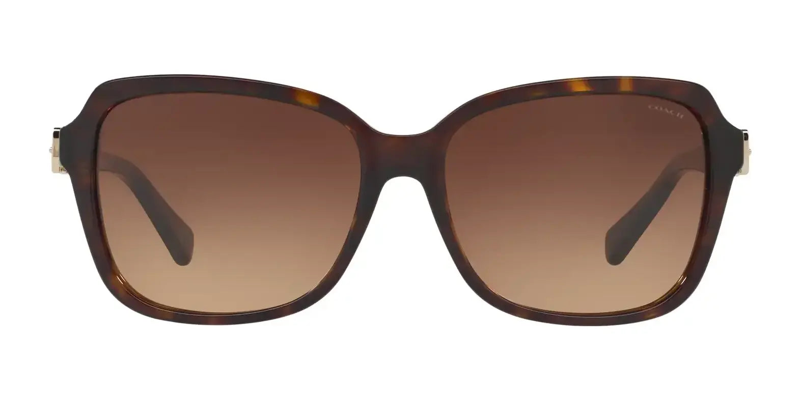 Coach L1598 HC8179 Sunglasses | Size 58 Coach L1598 HC8179 Sunglasses | Size 58