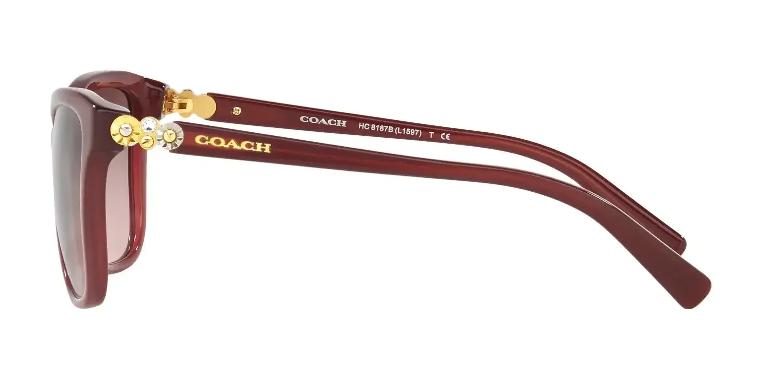 Coach L1597 HC8187B Sunglasses | Size 54 Coach L1597 HC8187B Sunglasses | Size 54