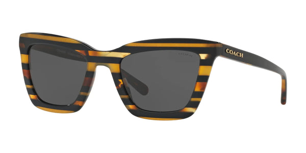 Coach L1630 HC8203 Sunglasses | Size 54 / Black Amber Glitter Varsity Stripe №544087 / Dark Grey Solid (3N 10%)