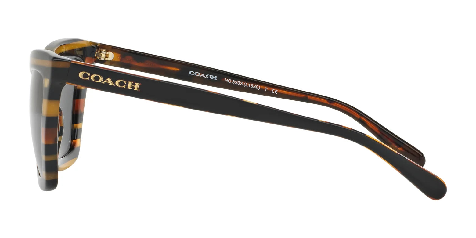 Coach L1630 HC8203 Sunglasses | Size 54 Coach L1630 HC8203 Sunglasses | Size 54