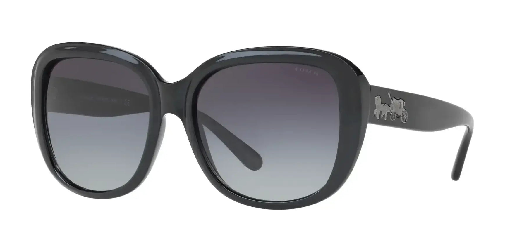 Coach L1634 HC8207 Sunglasses Black / Grey Gradient Coach L1634 HC8207 Sunglasses Black / Grey Gradient