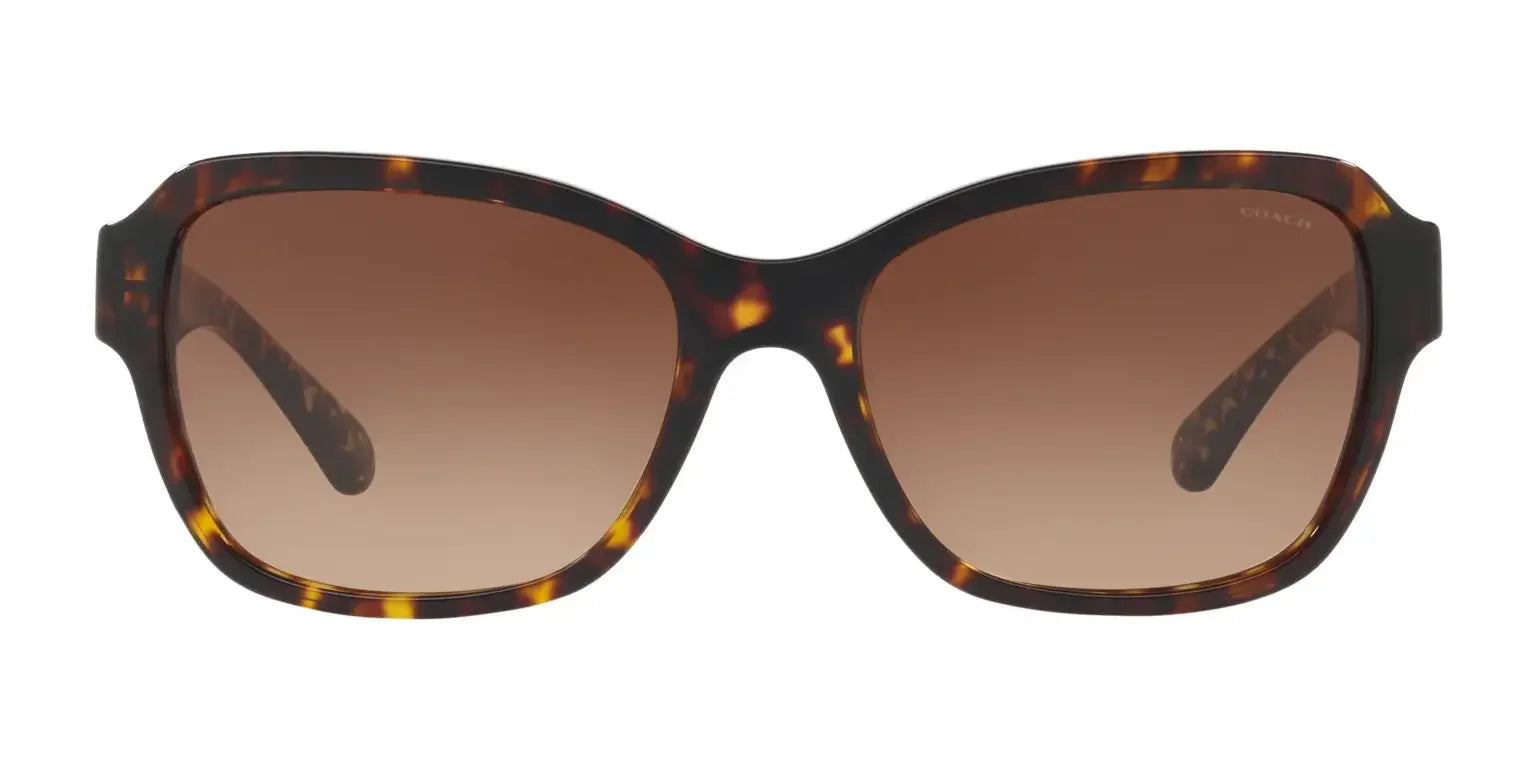 Coach L1011 HC8232F Sunglasses | Size 56 Coach L1011 HC8232F Sunglasses | Size 56