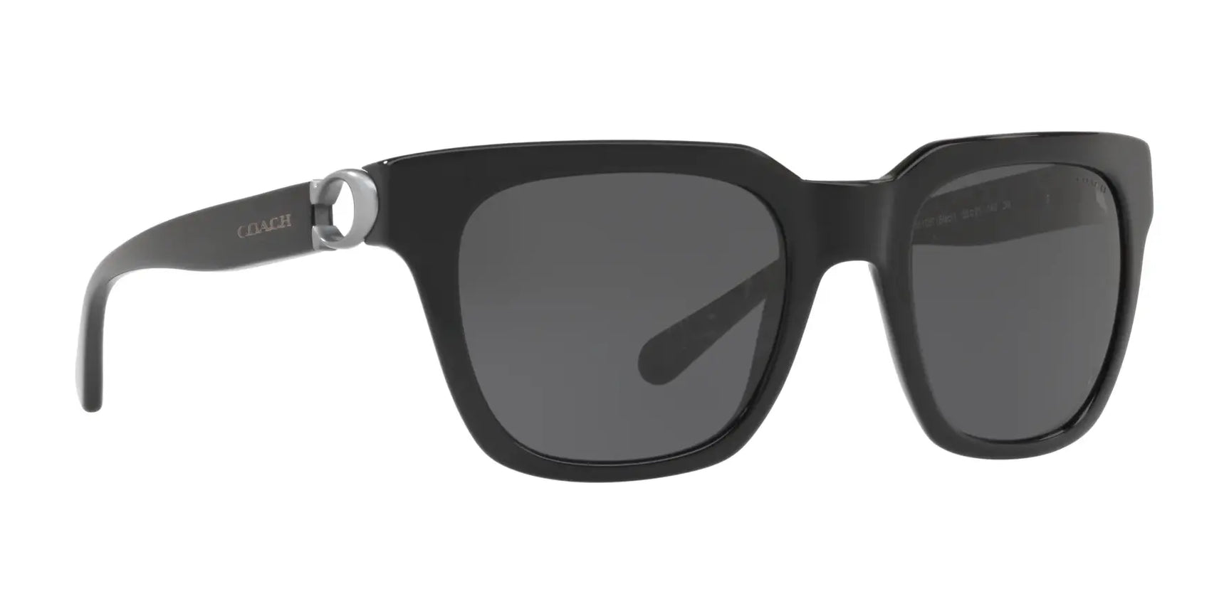 Coach L1029 HC8240F Sunglasses | Size 52 Coach L1029 HC8240F Sunglasses | Size 52